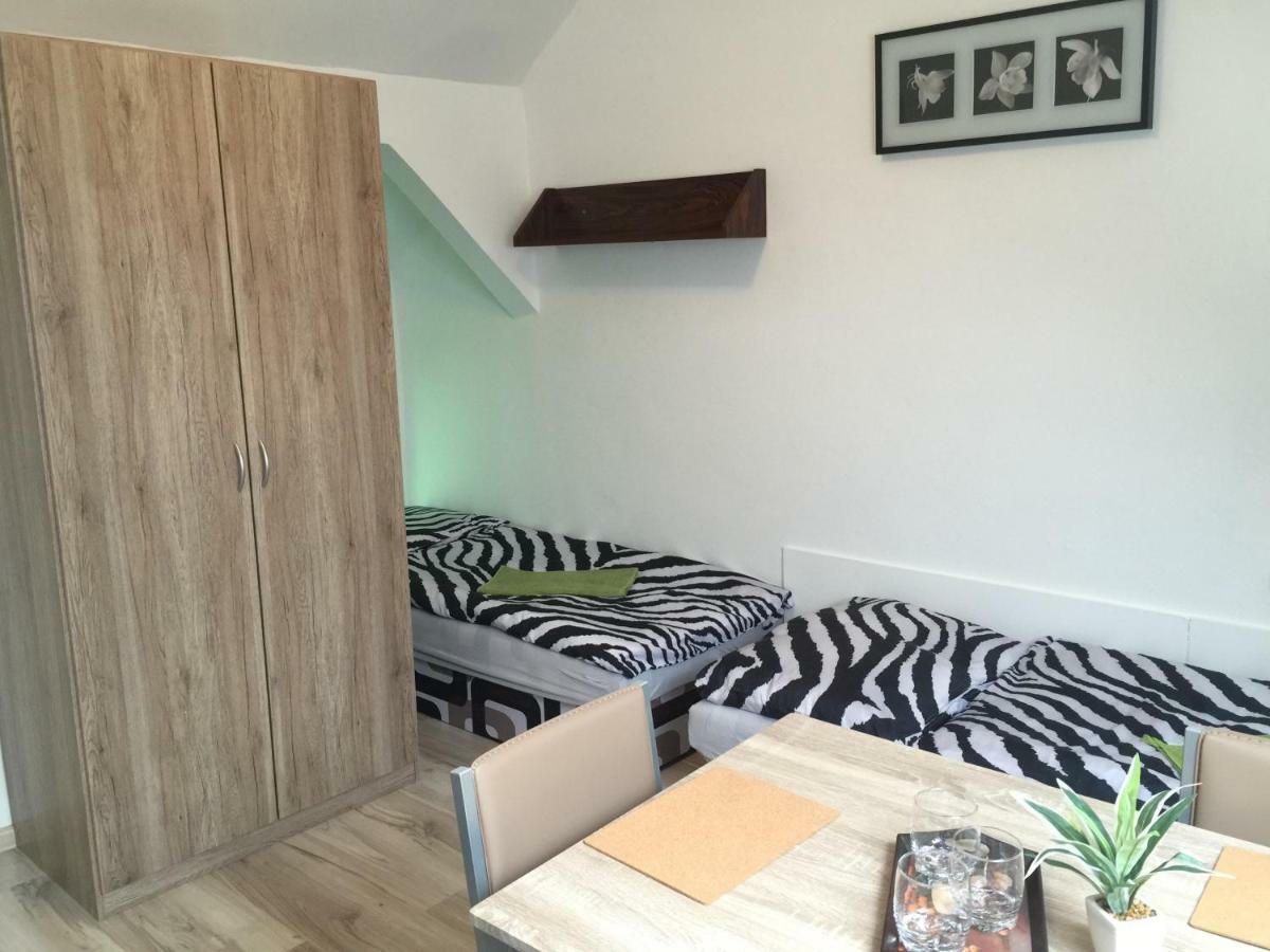 Guesthouse Zuzana Spacince المظهر الخارجي الصورة